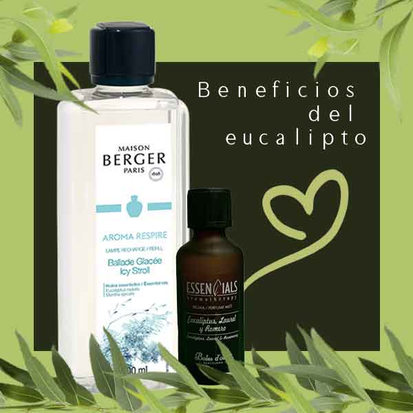 ¿Qué beneficios nos aporta el aroma a eucalipto?