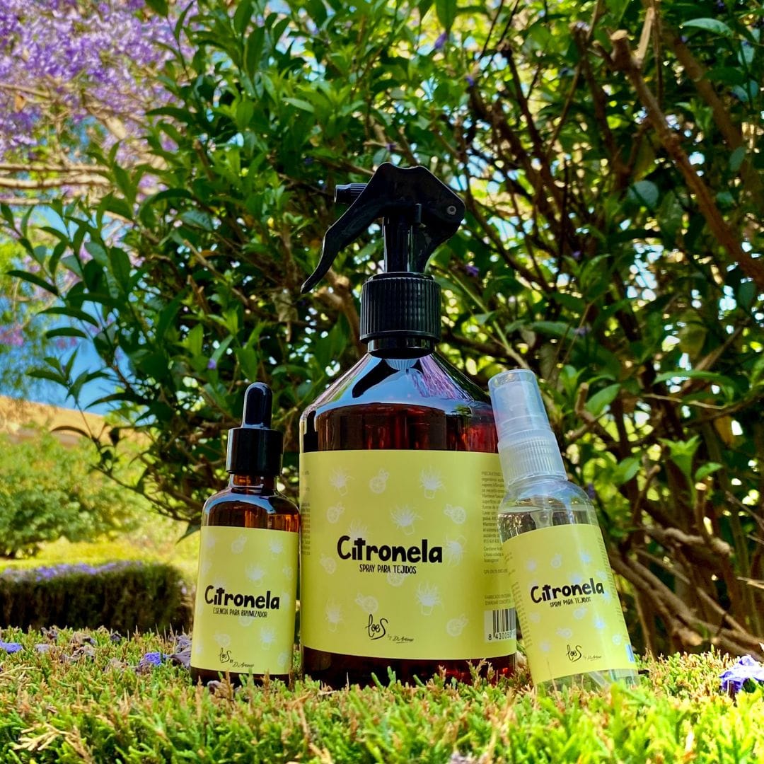 Adiós mosquitos, hola verano. 3 Formas de usar la Citronela de Loes