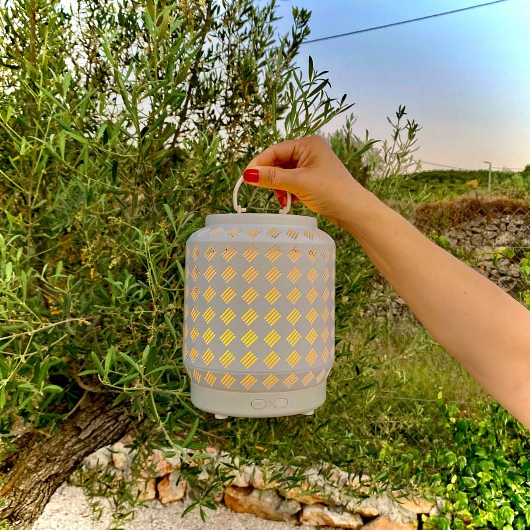 ¿Qué aromas te harán disfrutar más del verano?