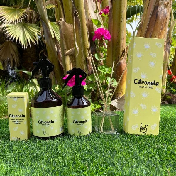 Los riesgos de los mosquitos y la importancia de la Citronela