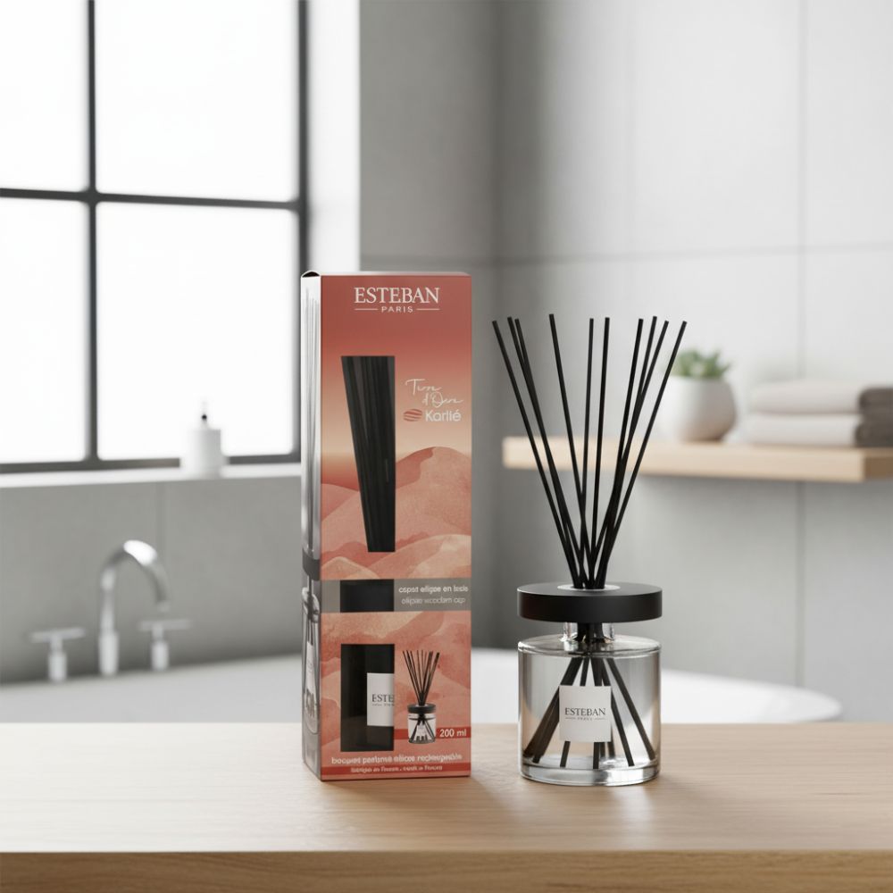 Ambientador mikado TERRE D'OCRE KARITÉ 200ml – Esteban París