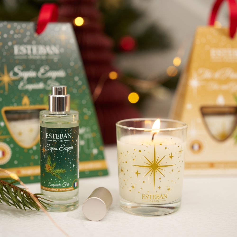 Cofre regalo Navidad vela y ambientador spray THE ET PAIN D'EPICES – Esteban París
