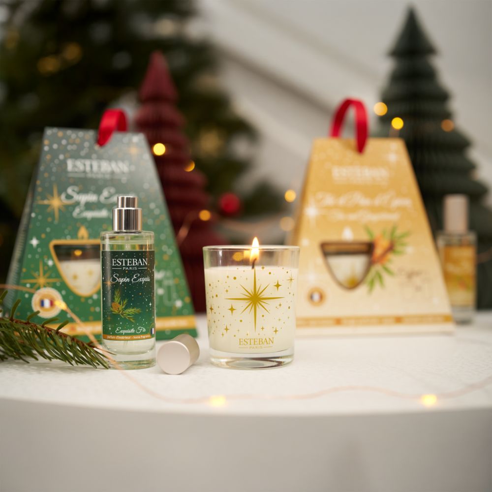 Cofre regalo Navidad vela y ambientador spray THE ET PAIN D'EPICES – Esteban París