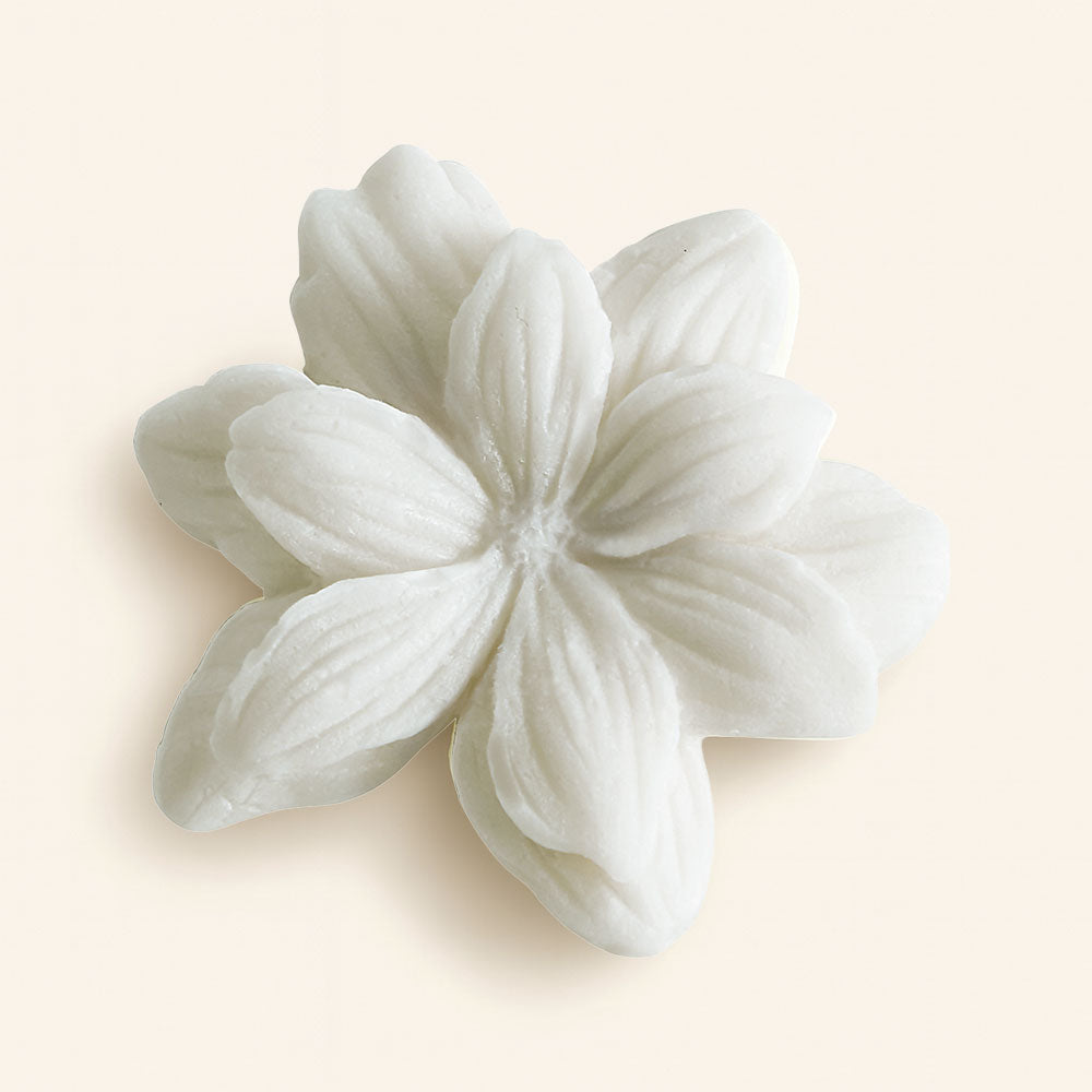 Ceras perfumadas para quemador DOUCEUR D'AMBRE – Mathilde M.