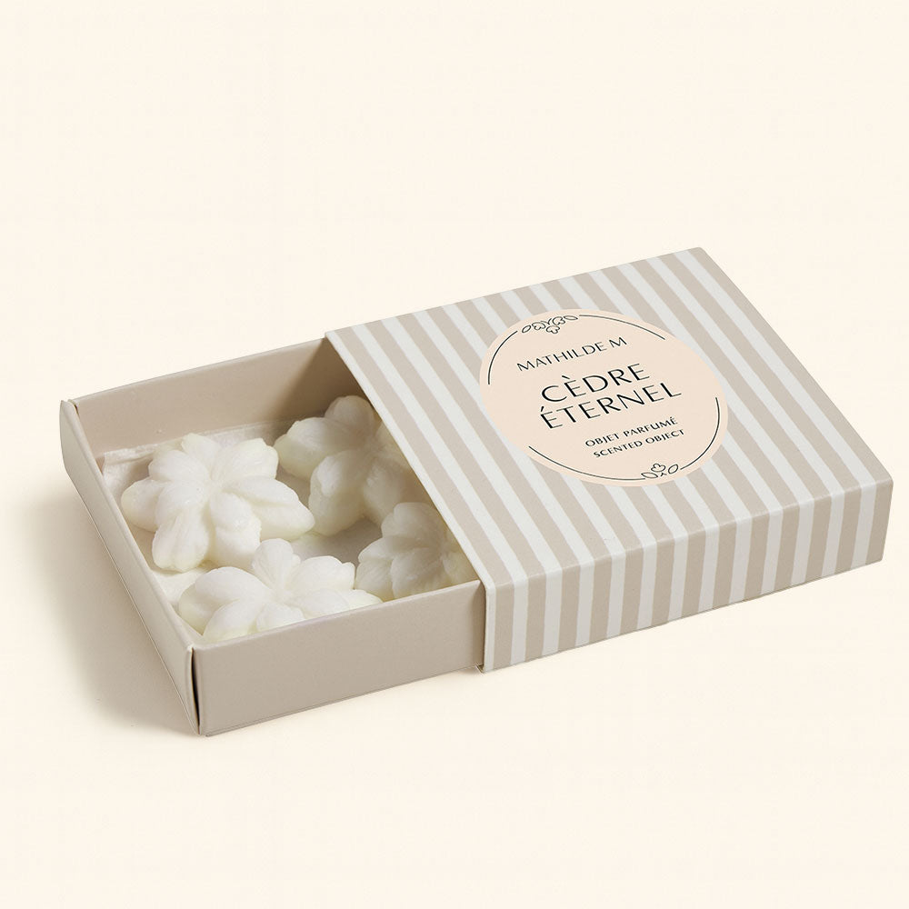 Ceras perfumadas Cèdre Éternel Mathilde M en forma de flor dentro de caja de rayas beige para quemador – D'Arome