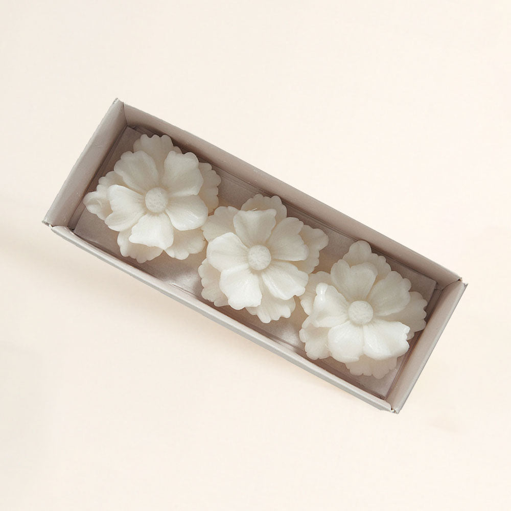 Ceras perfumadas para quemador grandes BOIS DE CACHEMIRE – Mathilde M.