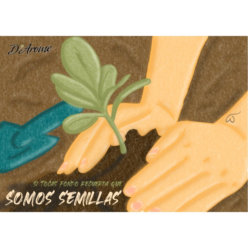 LÁMINAS – Diseños coleccionables – D'Arome