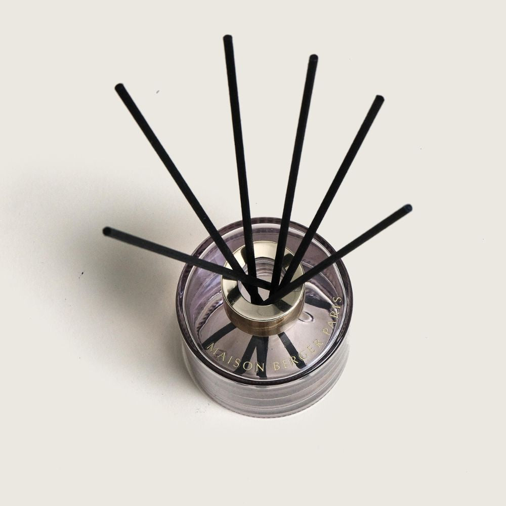 Dúo mini mikado y ambientador spray ROSALIE – aroma Pétillance Exquise – Maison Berger