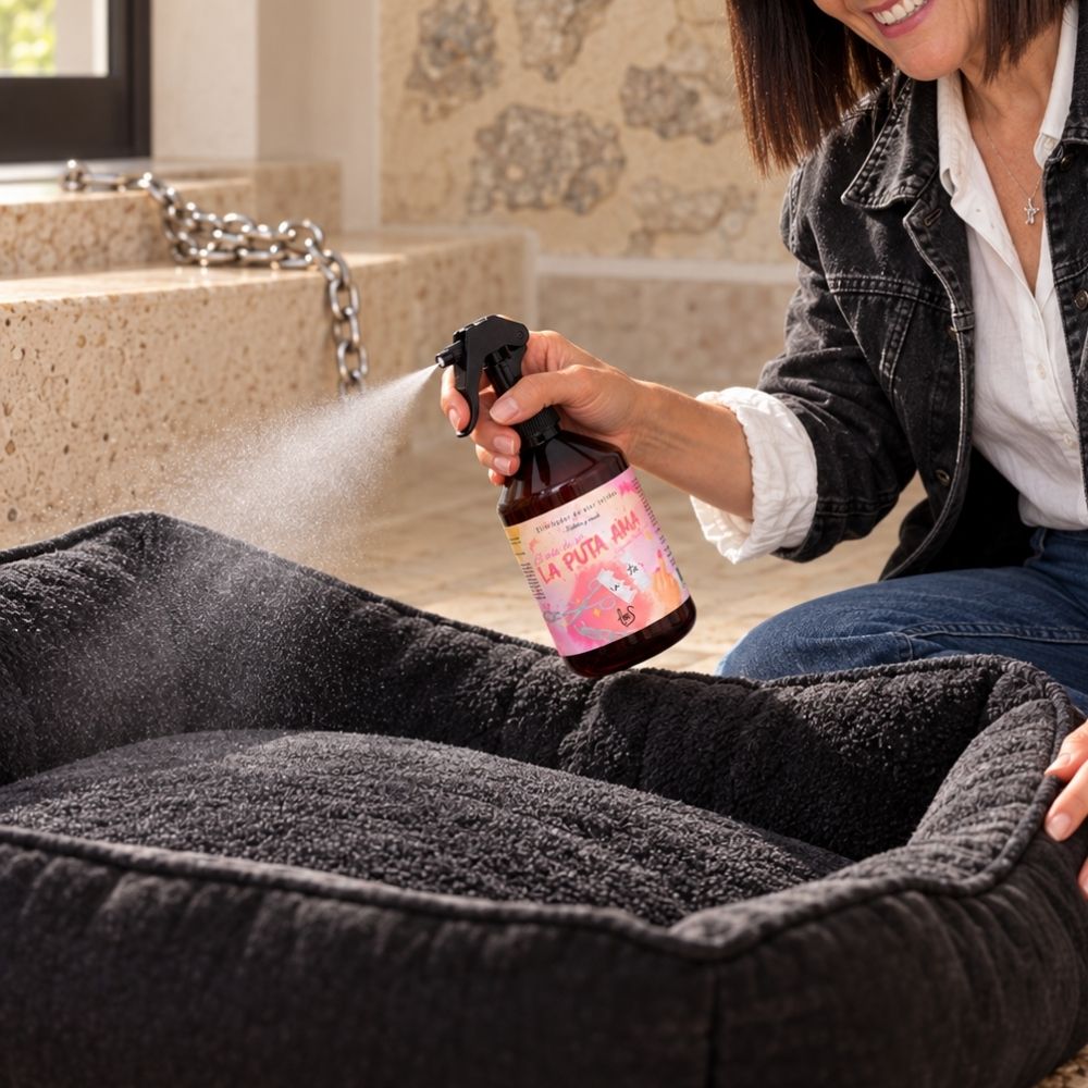 Mari armen, fundadora y CEO de D’Arome, pulveriza el eliminador de olores La Puta Ama de LoeS en la cama del perro para acabar con el olor a mascota – D’Arome