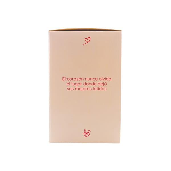 Lateral derecho de la caja del quemador latido de la marca Loes para D'Arome