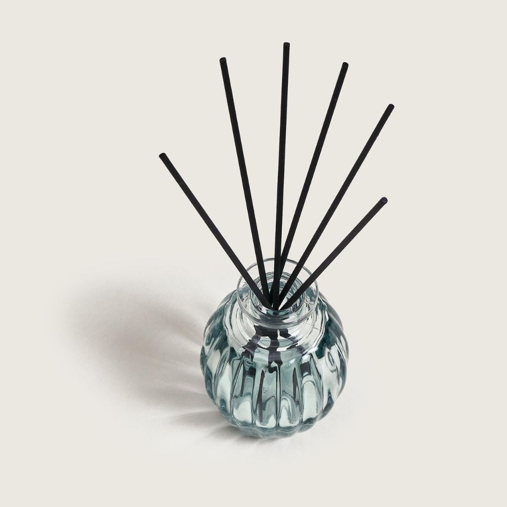 Mini Ambientador mikado CORALI – aroma Aqua Céleste 100ml  – Maison Berger