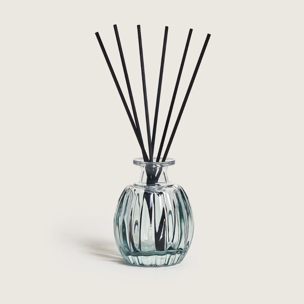 Mini Ambientador mikado CORALI – aroma Aqua Céleste 100ml  – Maison Berger