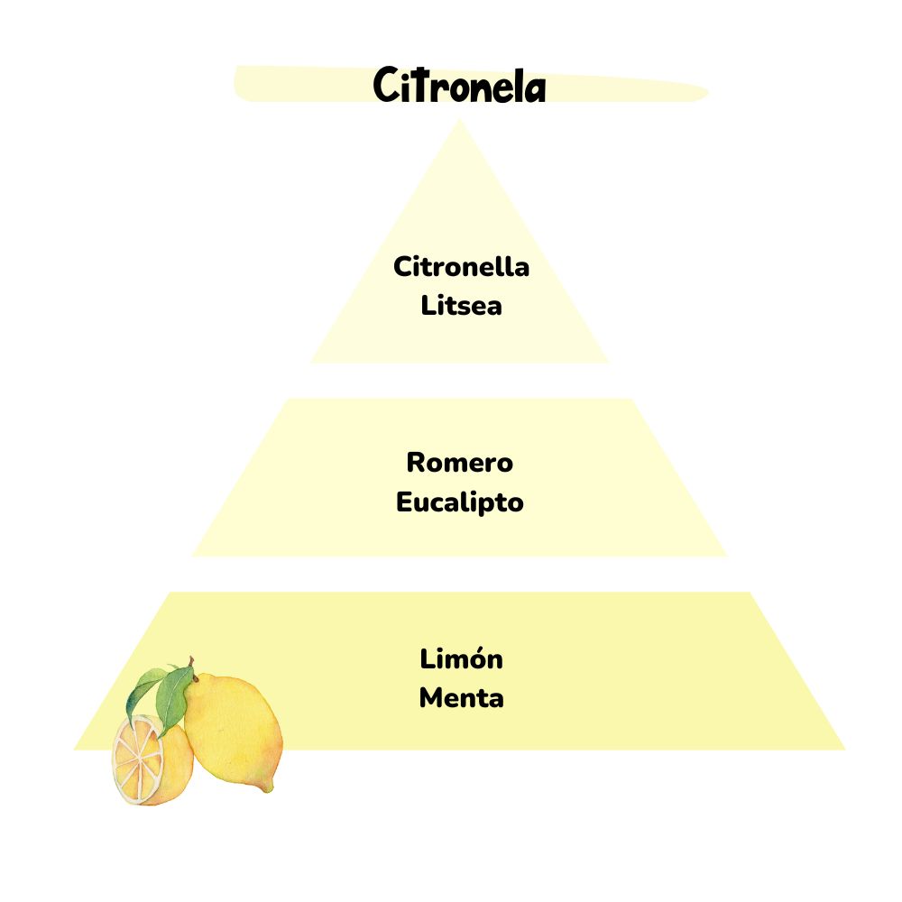 Esencia para difusor CITRONELA (Antimosquitos) 50ml – LoeS