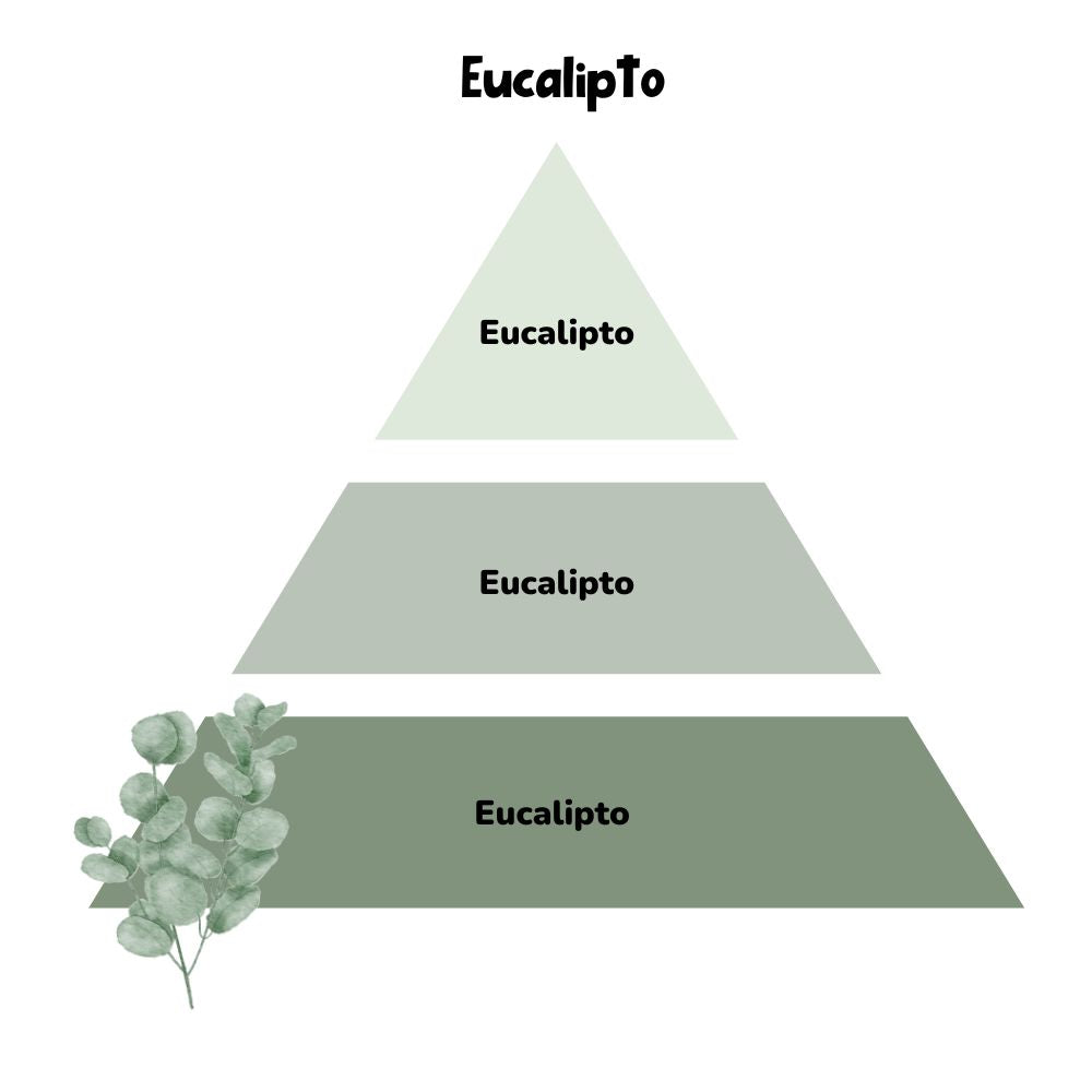 Esencia para difusor EUCALIPTO 50ml – LoeS