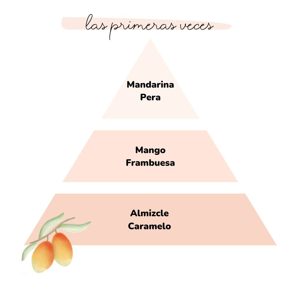 Esencia para difusor LAS PRIMERAS VECES 50ml – LoeS