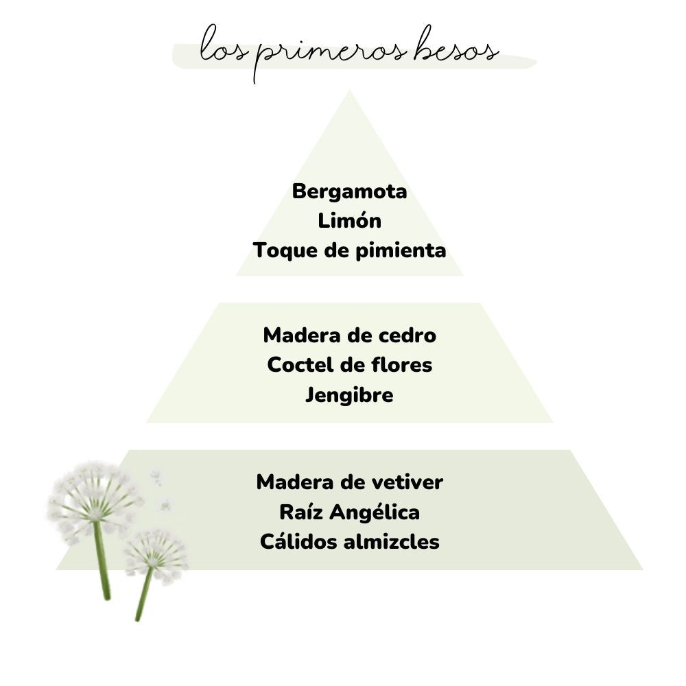 Esencia para difusor LOS PRIMEROS BESOS 50ml – LoeS