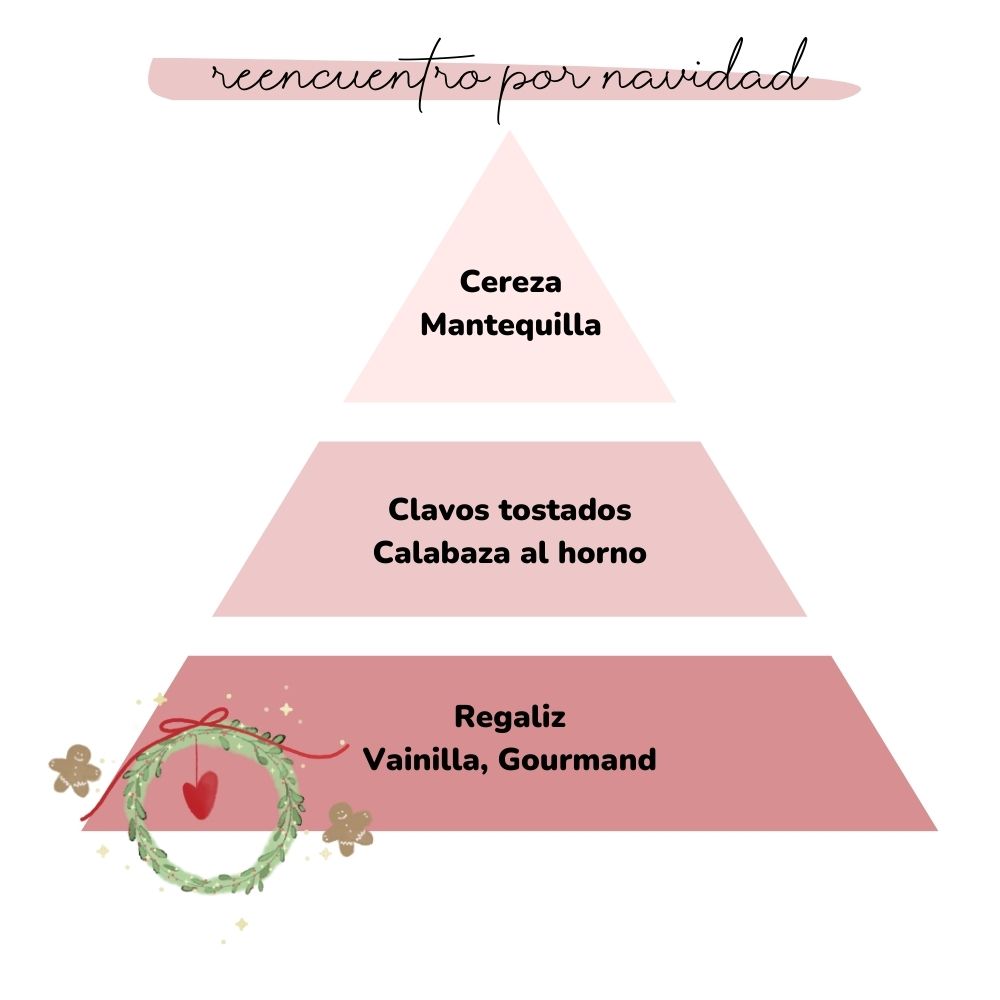 Esencia para difusor REENCUENTRO POR NAVIDAD 50ml – LoeS