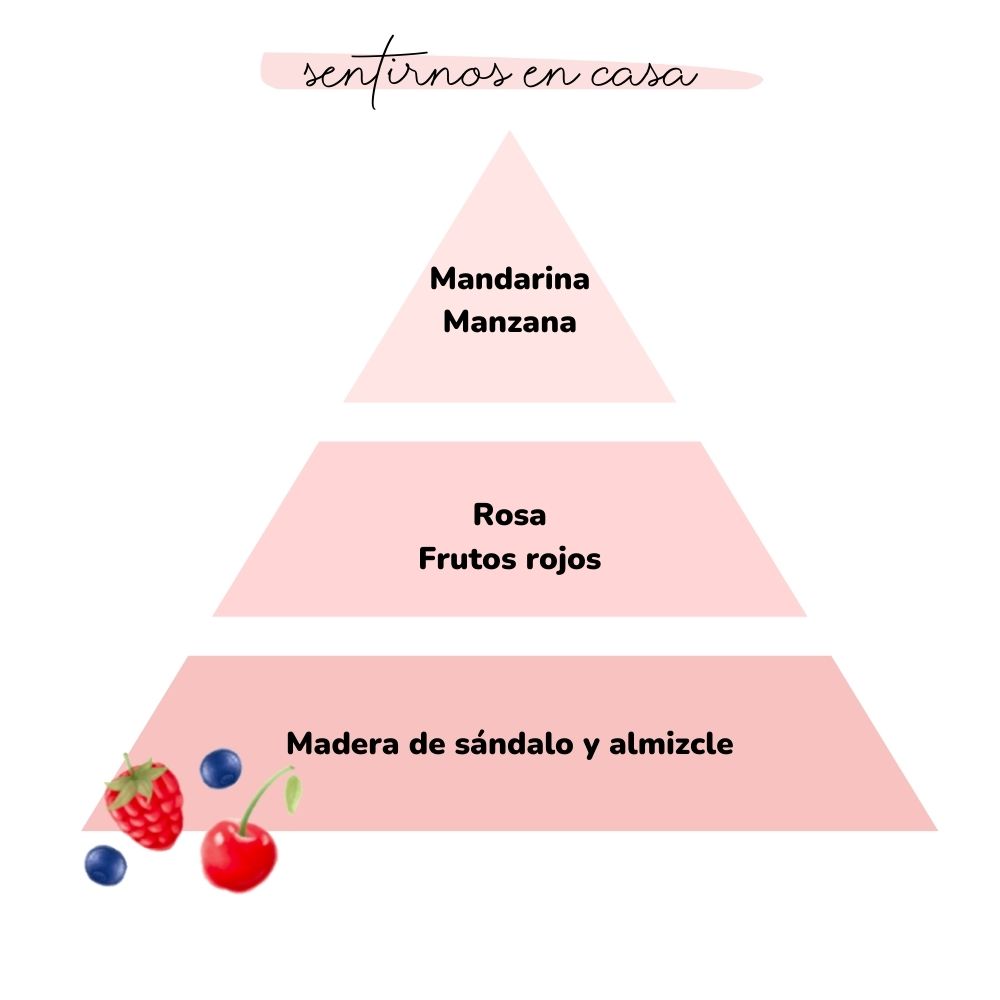 Esencia para difusor SENTIRNOS EN CASA 50ml – LoeS