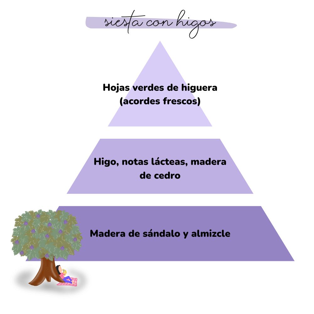 Esencia para difusor SIESTA CON HIGOS 50ml – LoeS