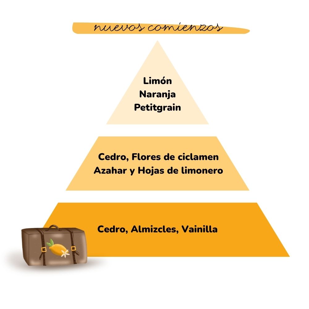 Pirámide olfativa del aroma Nuevos Comienzos de LoeS con notas de salida de limón, naranja y petitgrain, corazón de cedro, flores de ciclamen, azahar y hojas de limonero, y fondo de cedro, almizcles y vainilla – D'Arome