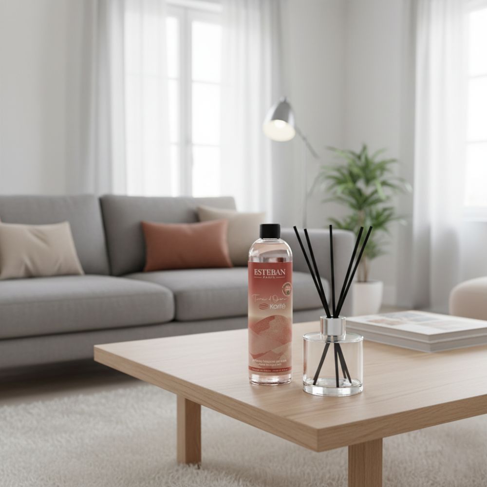 Recambio ambientador mikado TERRE D'OCRE KARITÉ 250ml – Esteban París