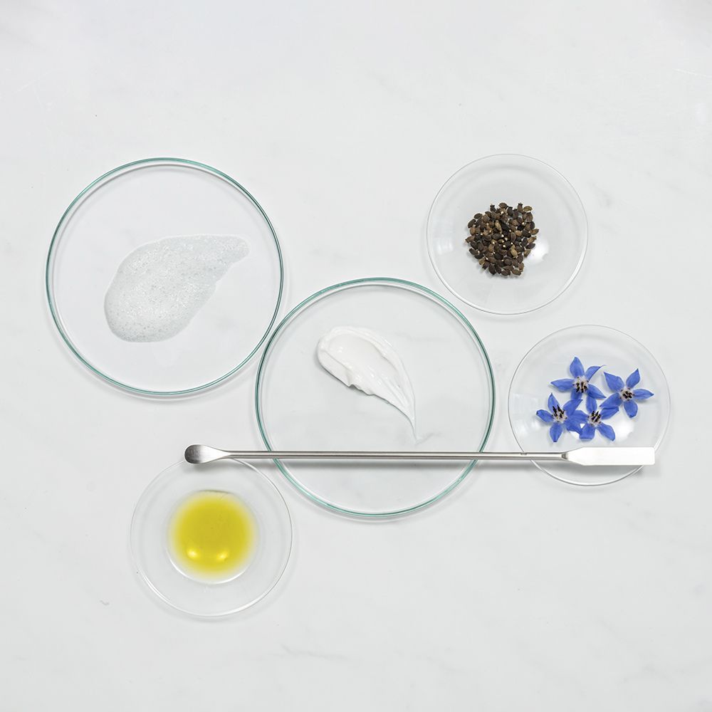 Textura y semillas de aceite de borraja - ingrediente natural Durance en D'Arome