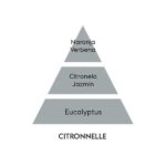 piramide-olfativa-citronella