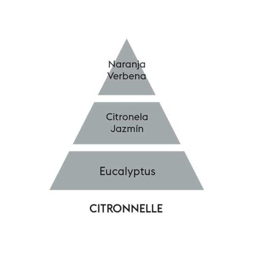 piramide-olfativa-citronella