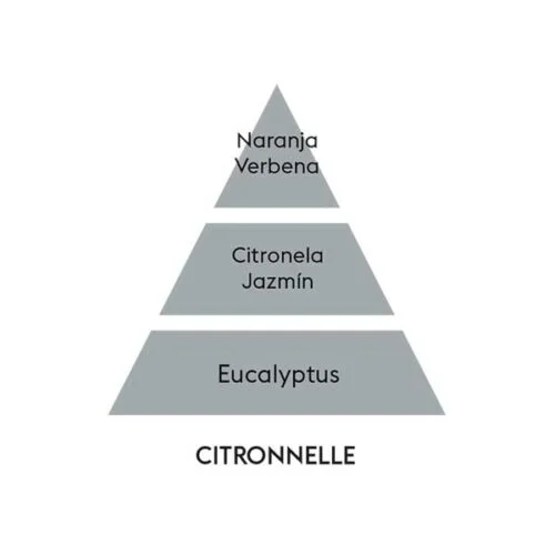 piramide-olfativa-citronella