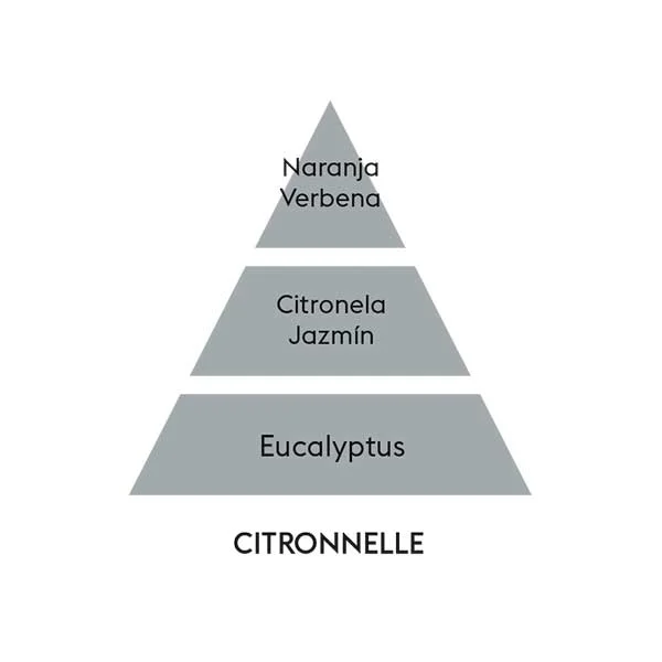 piramide-olfativa-citronella