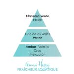 piramide-olfativa-happy