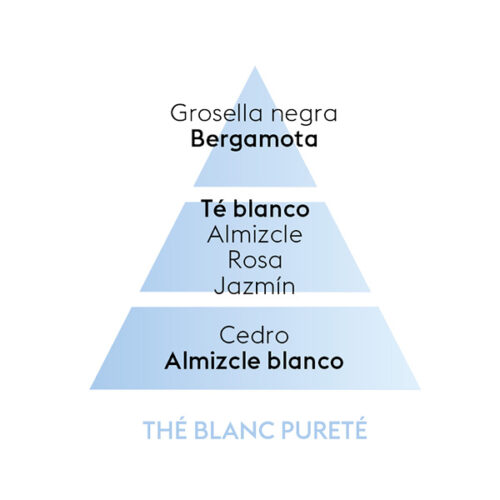 piramide-olfativa-pure-white-tea