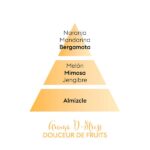 piramide-olfativa-dstress