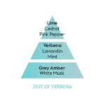 piramide-olfativa-zest-of-verbena