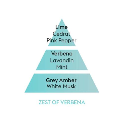 piramide-olfativa-zest-of-verbena