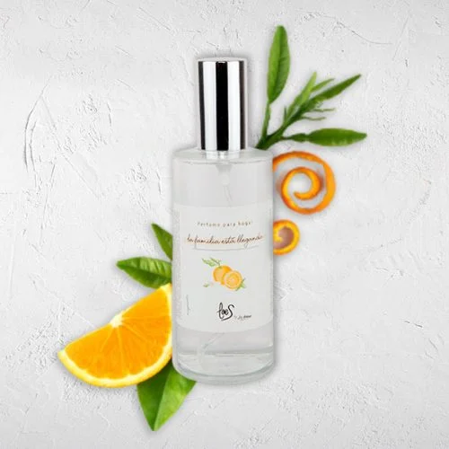 Perfume de hogar en spray aroma La familia está llegando LOES