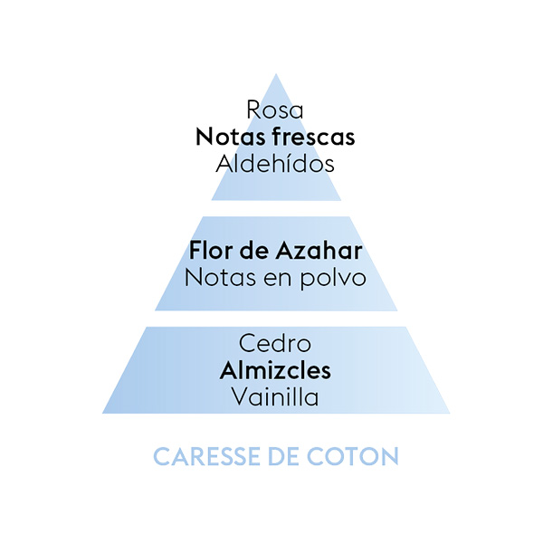 piramide-olfativa-cotton-cares