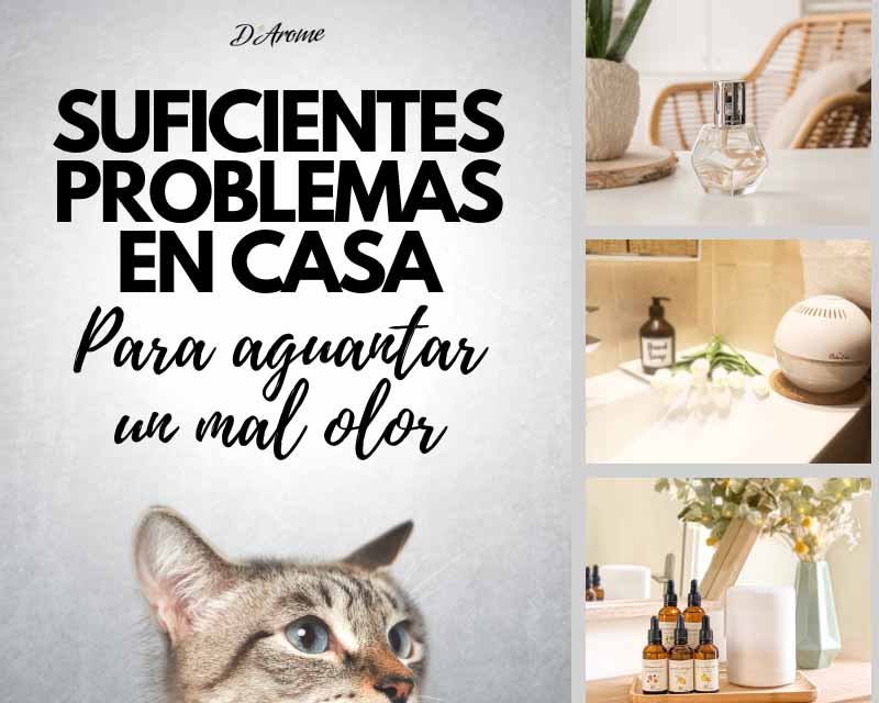Suficientes problemas en casa para aguantar un mal olor