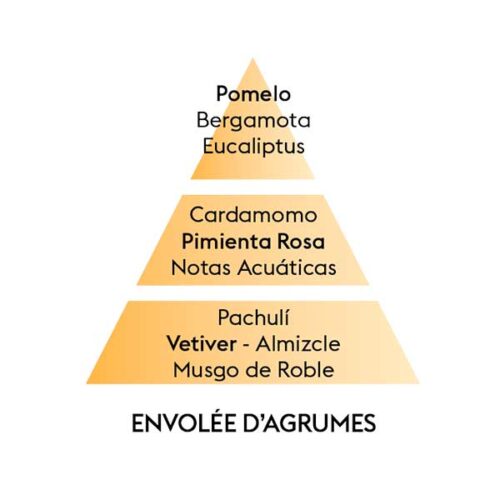 piramide-olfativa-citrus-breeze