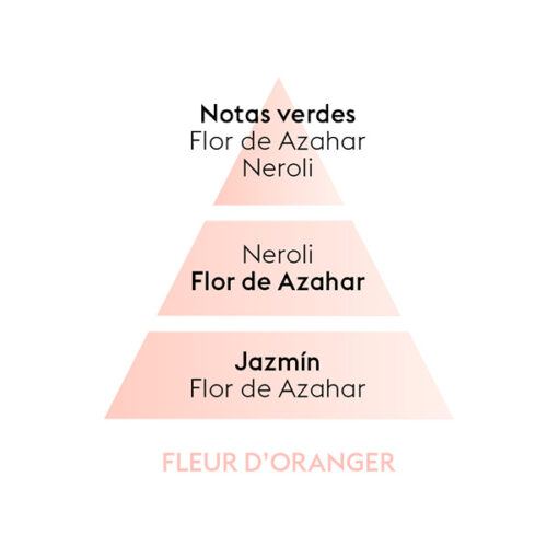 piramide-olfativa-orange-blossom