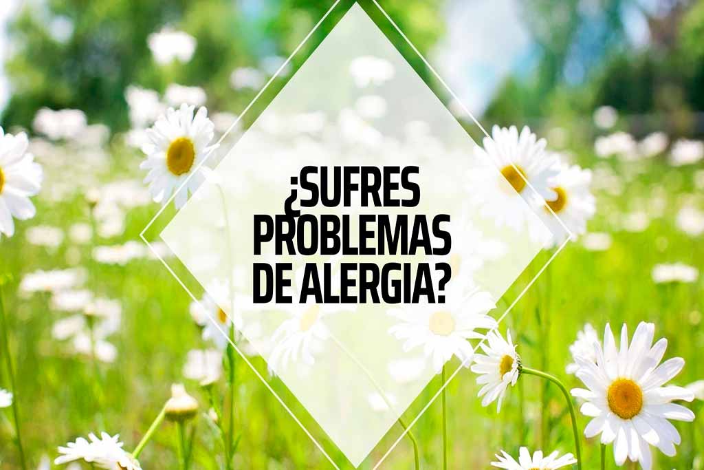 ¿Sufres problemas de alergia? Blog