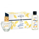 Comprar cofre lampara catalítica lolita lempicka