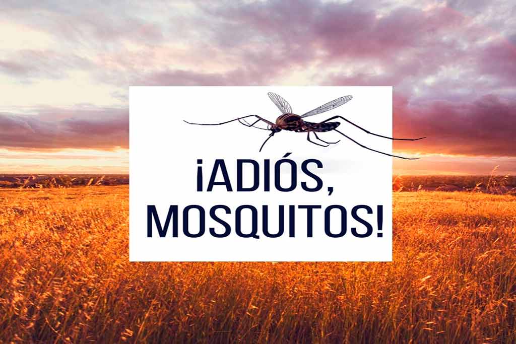 Adiós a los mosquitos