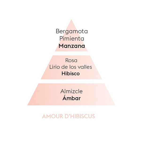 Piramide-olfativa-hibiscus-love