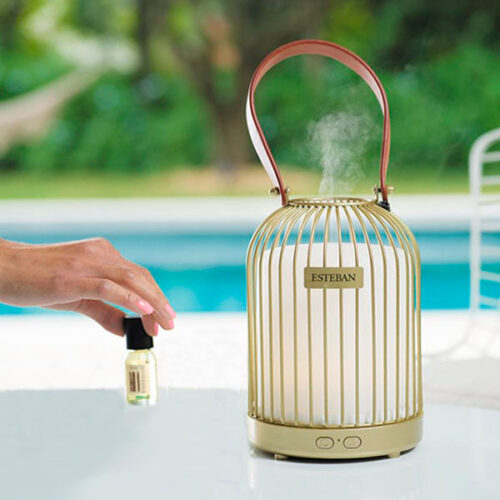 Comprar difusor de perfume Esteban Paris