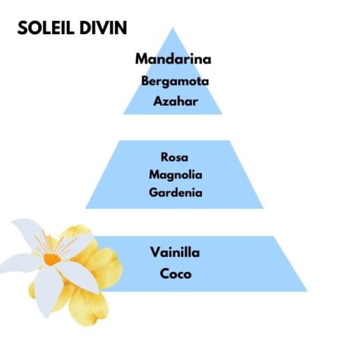 Piramide olfativa del aroma soleil divin de la marca Berger D'Arome
