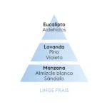 piramide-olfativa-french-linen