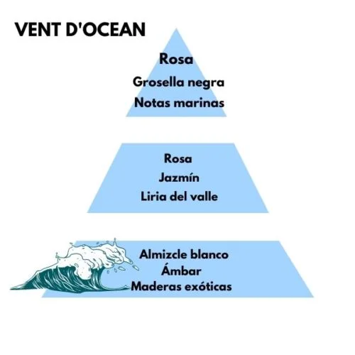 Piramide olfativa del aroma Vent d'ocean de la marca Berger D'Arome