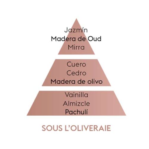 piramide-olfativa-under-the-olive