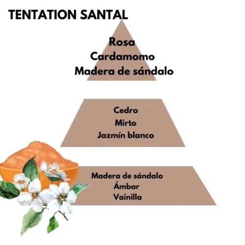 Piramide olfativa del aroma Tentation Santal de la marca berger D'Arome